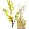 Erbario Toscano difuzor odorizant cameră  -Floare mimosa - 100 ml